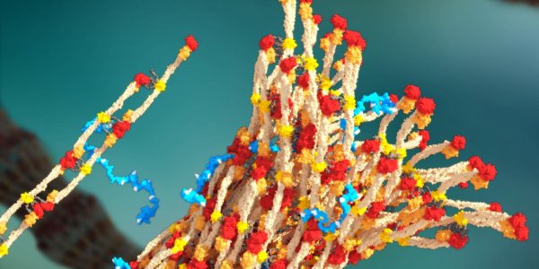 PolySTAT: Injectable Plastic Finds Wound And Stops You From Bleeding Out