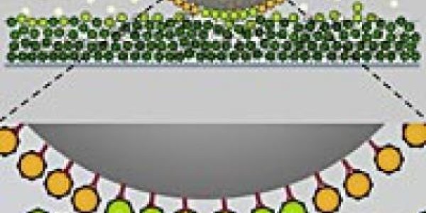 Dirty Velcro Inside The Nuclear Pore