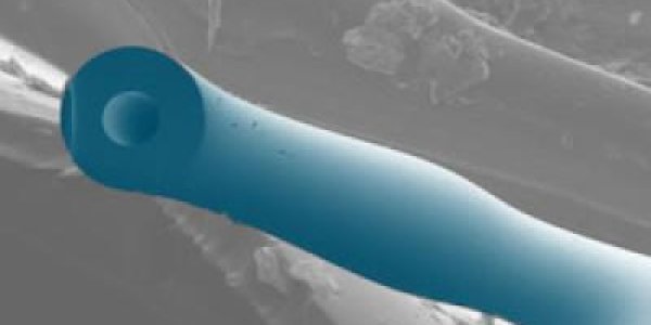 Whispering Gallery Goes Nanoscale