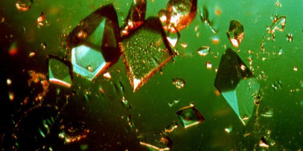 6 Science Stories For 2014