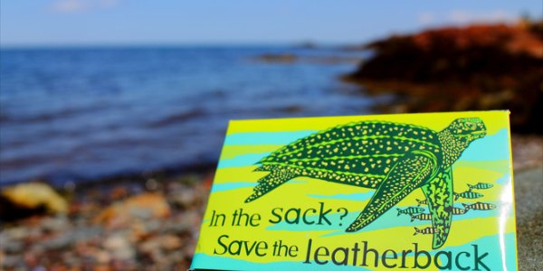 To Save Animals, Put More Humans On Birth Control