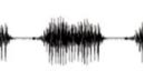 Left Inferior Frontal Sulcus Multitasks For Phonetics And Decision-Making