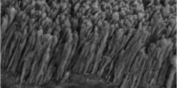 Nanotechnology Can Even Boil Water!