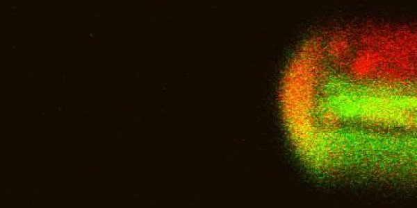 World's Smallest Reaction Chamber - A Tiny Spray Of Fluid