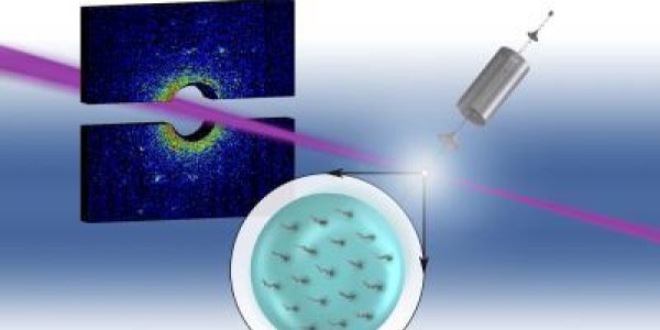 Quantum Inside Cold Helium Nanodroplets Mapped