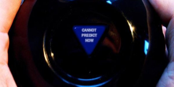 Giant Squid In Aquariums By 2020?