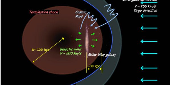 Did Man Evolve Because Of Galactic Oscillations?
