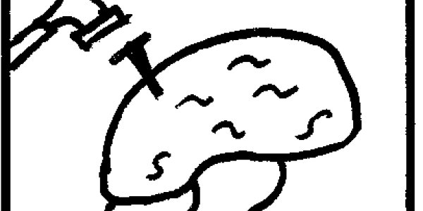 Nails And The Human Brain (Part 1)