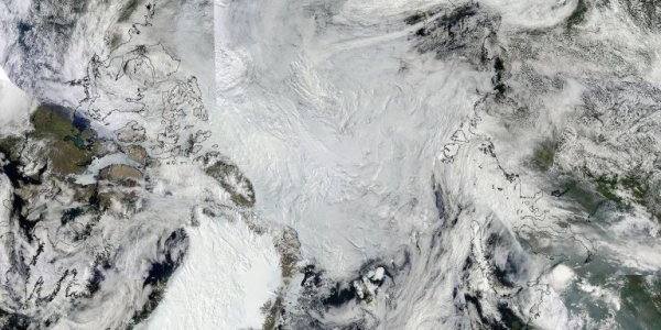 Arctic Ice August 2010