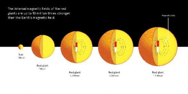 Asteroseismology Shows Strong Magnetic Fields In Majority Of Stars