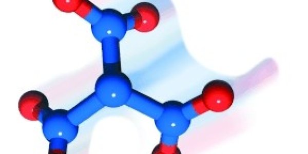 New Year with a Bang?