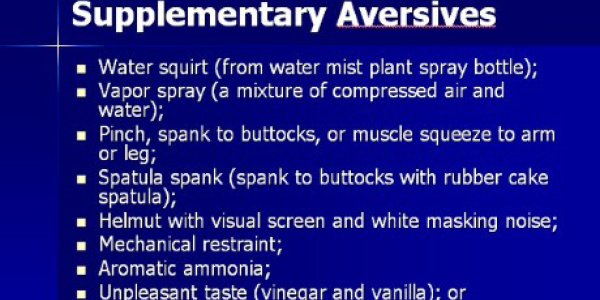 Ruminations on the Judge Rotenberg Center