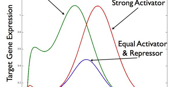 Physical Chemistry Makes Us Different