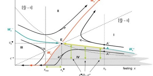 The mathematics of marriage, or, less happily ever after