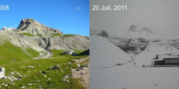 Marine Biology 10,000 Feet Above Sea Level