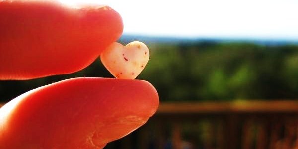 The Science Behind Heartbreak