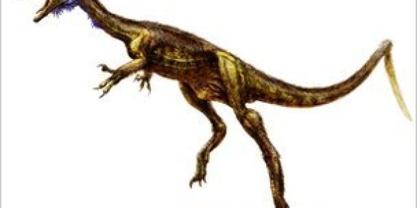 Eodromaeus - Dawn Of The Dinosaurs