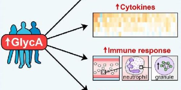 This Biomarker Portends Premature Death