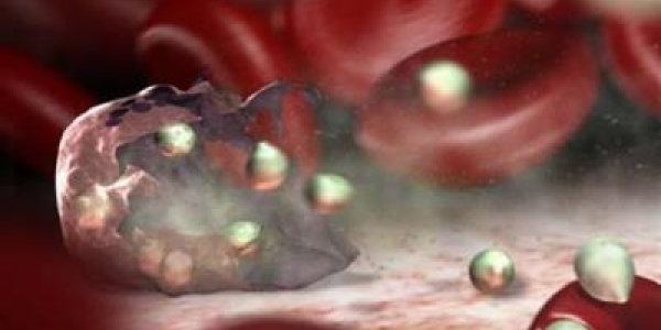 Carbohydrate 'Assembly Line' May Boost Vaccine And Medicine Production