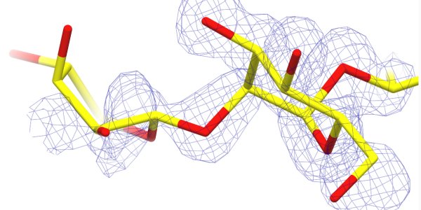 Sugar Science: Half Of Structural Data On Carbohydrates May Be Flawed