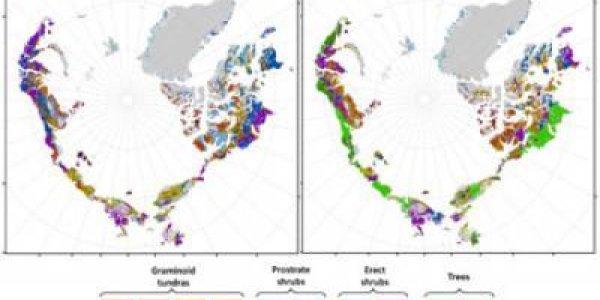 Numerical Model Predicts A Greener Arctic