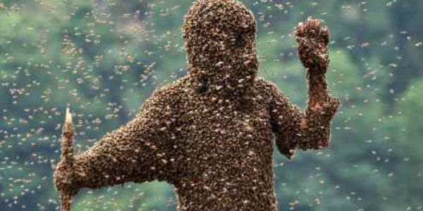 Sierra Club Canada Protect the Pollinators Tour - They Know Even Less About Bees Than You Think