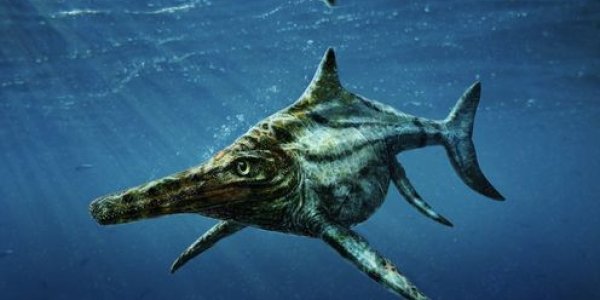 Not The Loch Ness Monster, But A Jurassic Sea Reptile Has Been Found In Scotland