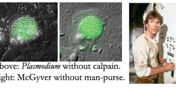 MacGyver - The Parasite Edition (And Without The Mullet)