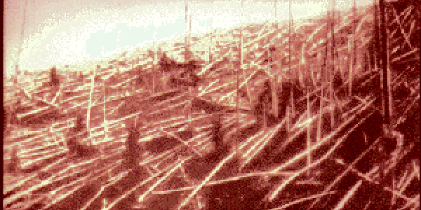 Tunguska Revisited: A Smaller Asteroid Did It?