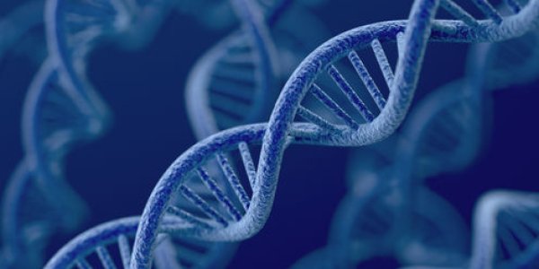 4 Things You Should Know About Gene Patents