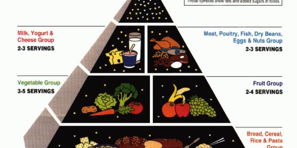 Neanderthals Were Dumb, Camels Store Water In Their Humps, and 15 Other Science Facts No Longer True