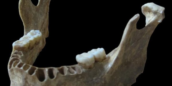 Early European Human Had A Neanderthal Ancestor