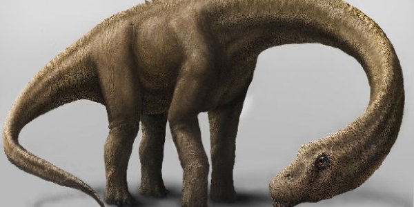 Dreadnoughtus Dinosaur Downsized