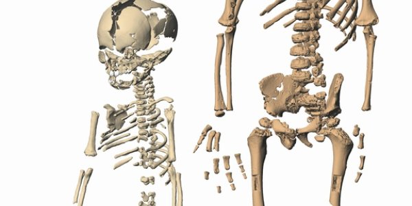 Neanderthal Births Remarkably Similar To Ours (Not All That Easy)
