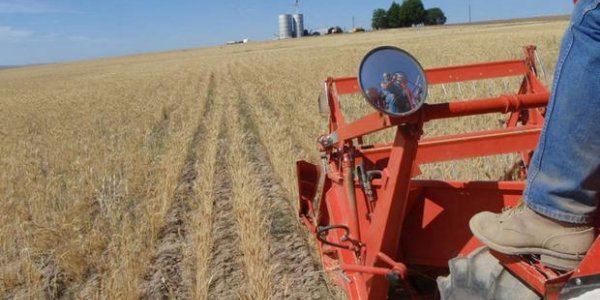 American Farmers Feel Twin Pincers Of High Inflation And Resulting Low Exports