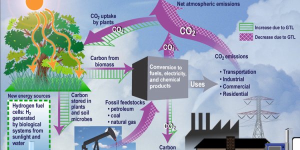 Science 2020: Motherhood, Clean & Sustainable