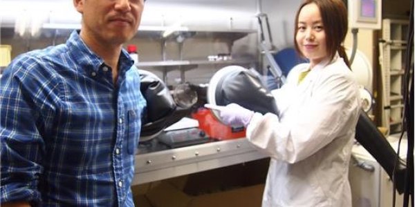 Next-Generation Illumination Is Here: Quantum Dot-Based White-Blue LED