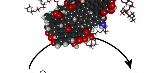 What Are Nano-Antioxidants?