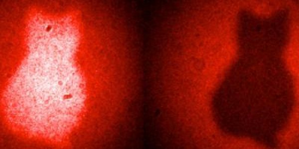 Schrödinger's Picture: Researchers Take An Image Without Ever Detecting Light