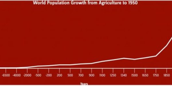 A Fake Smithsonian Exhibit