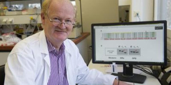 HLA Receptor: 'Immune Gene' In Neanderthals Discovered