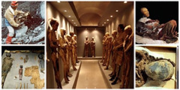 2,300-Year-Old Egyptian Puppy