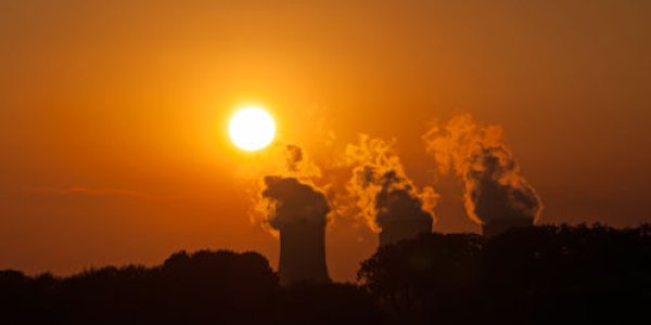 Britain Is Burning Wood From US Forests To Meet Renewables Targets