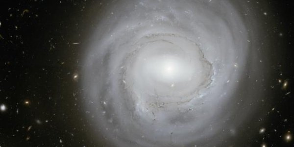 NGC 4921 Gets Its Close Up