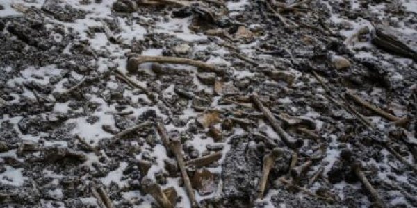 Mediterranean Migrants in India: What DNA From The Skeletons of Roopkund Lake Reveal