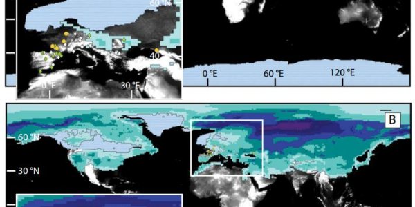 Not Cro-Magnon, Volcanoes May Have Doomed Neanderthals