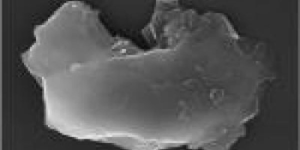 Hey Jupiter, Earth Gets Hit Too - Evidence For North American Cosmic Impact 13,000 Years Ago