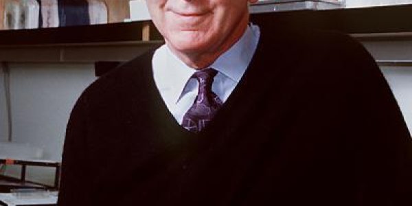 Scientists Find An Unlikely Stress Responder May Protect Against Alzheimer's