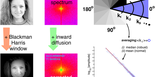 Eyes Without A Face?    How Recognition Happens