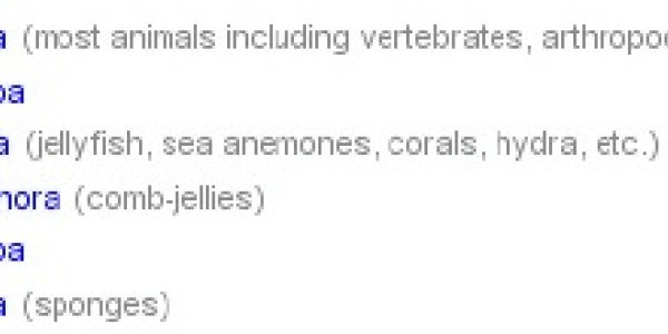 Phylogenetic Fallacies: Early Branching Must Mean Primitive